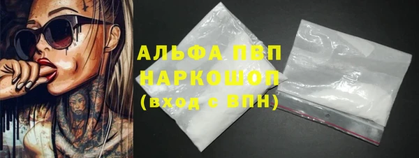 сатива Магадан