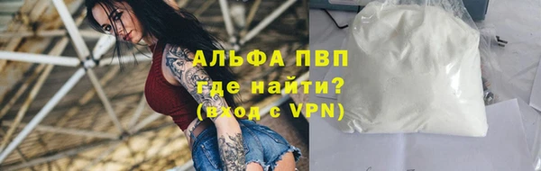 сатива Магадан