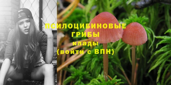 мяу мяу мука Майский