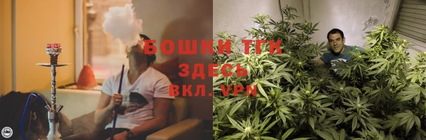 сатива Магадан